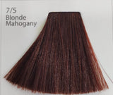 Augeas Hair Color 100 ML