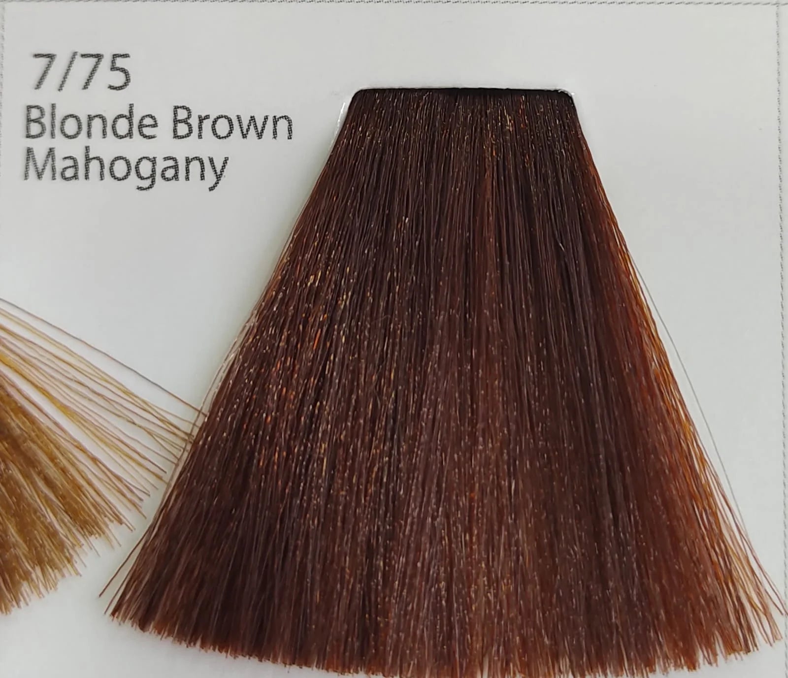Augeas Hair Color 100 ML