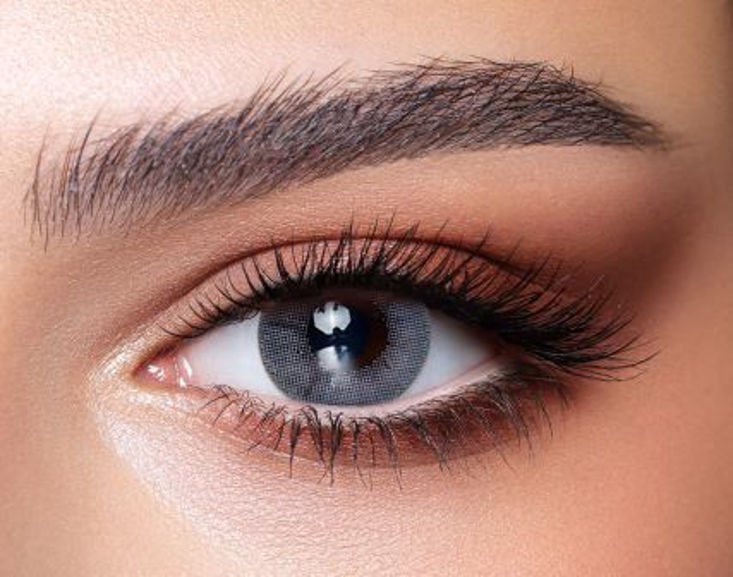 Bella Lens Bluish Gray  One Day Collection