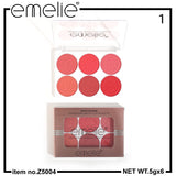Emelie Matte Blusher 6 Color Pallete
