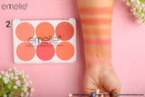 Emelie Matte Blusher 6 Color Pallete
