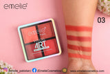 Emelie Visual Art Matte Blusher 4 Color Palette