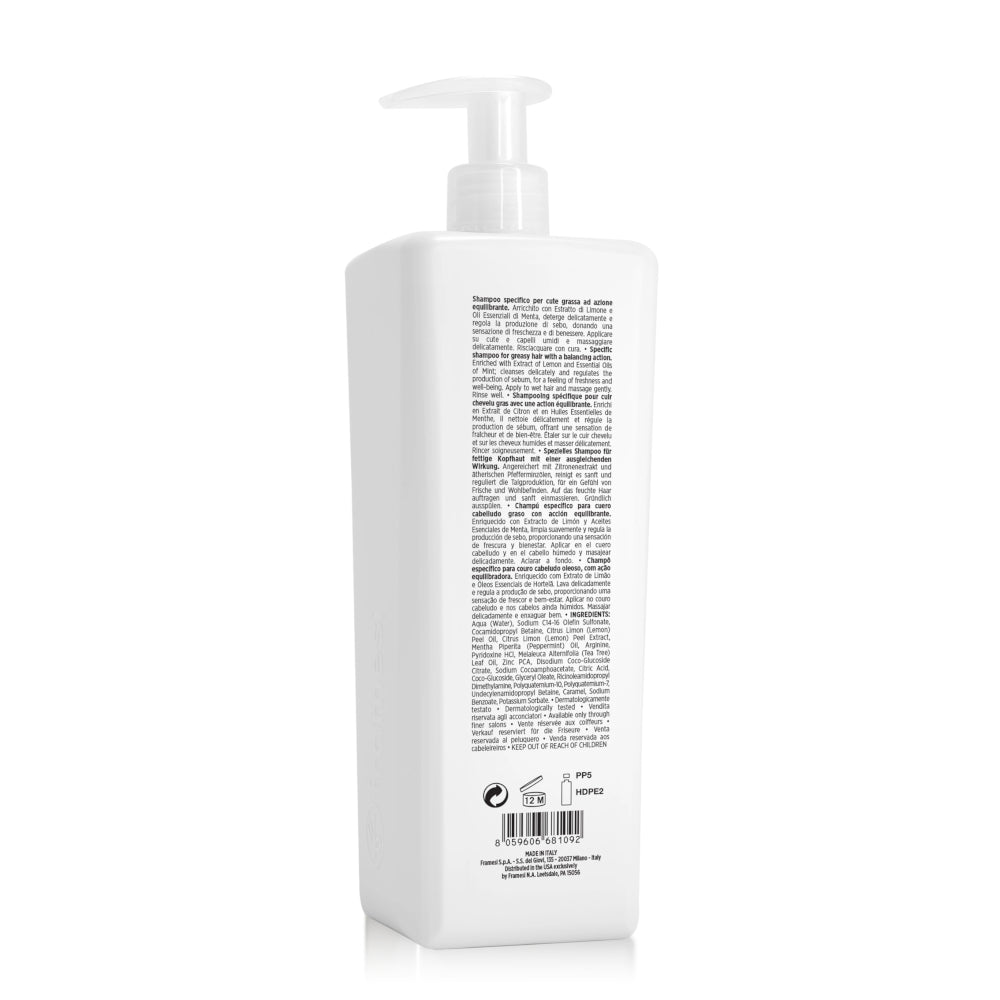 Framesi Morphosis ReStructure Revitalizing Shampoo 1000 ML
