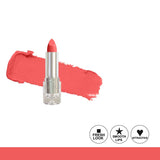 Glamorous Face Moisture Rich Lipstick (Silver Case)