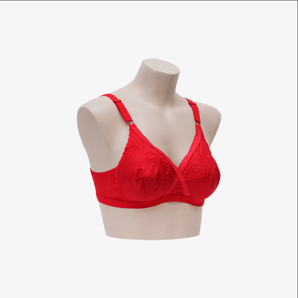 Buy IFG Classic Bra, Vintage Pink Online at Best Price in Pakistan 