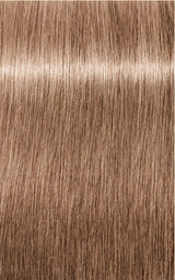 Schwarzkopf Igora Royal Fashion Light Hair Colors