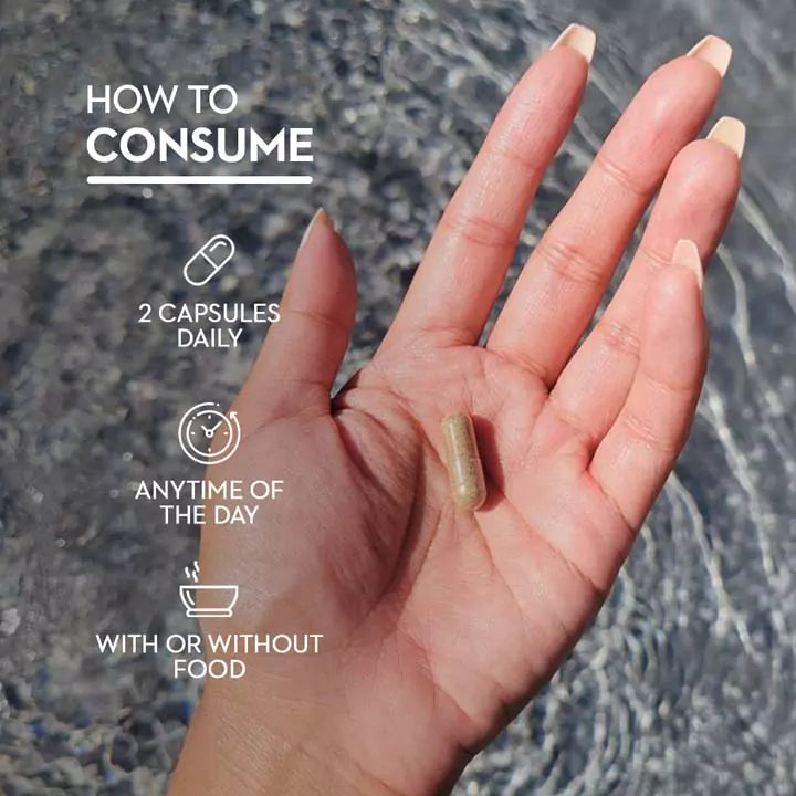 Versus Ashwagandha and Ginseng Extract 90 Capsules