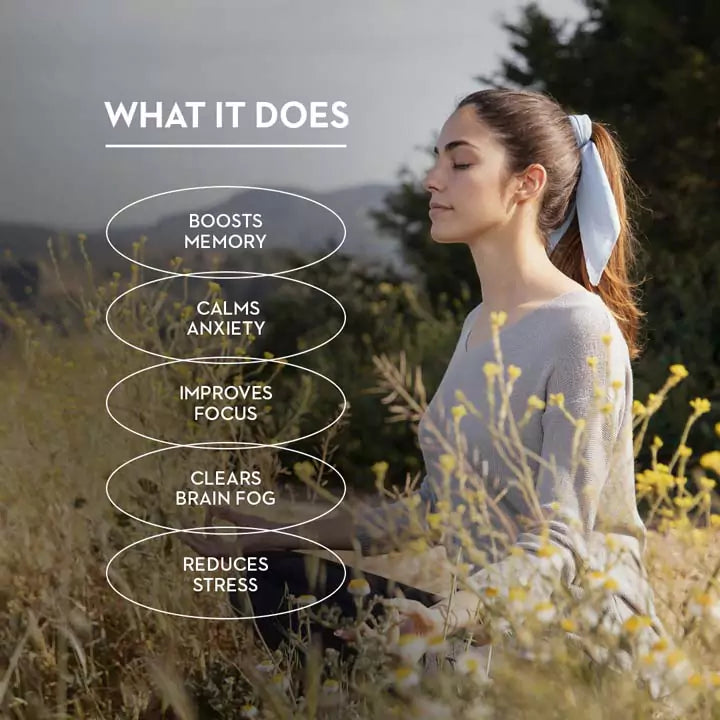 Versus Ashwagandha and Ginseng Extract 90 Capsules