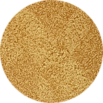 Color Institute Single Eyeshadow