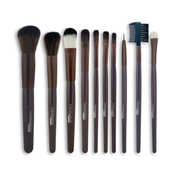 Color Institute 10 Piece Leather Brush Set