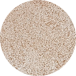 Color Institute Single Eyeshadow