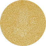 Color Institute Single Eyeshadow