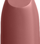 Color Institute Color Intense Lipstick (Silver Case)