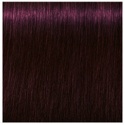 Schwarzkopf Igora Royal Absolutes Hair Colors