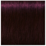 Schwarzkopf Igora Royal Absolutes Hair Colors