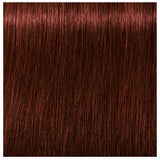 Schwarzkopf Igora Royal Absolutes Hair Colors
