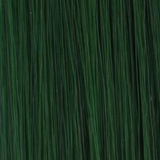 Framesi Framcolor Hair Coloring Cream 2001 Pure Pigment Series