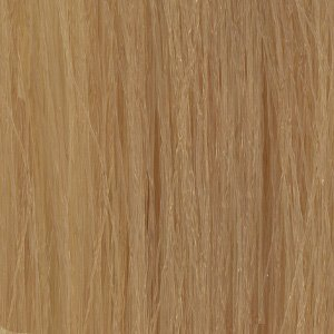 Framesi Framcolor Hair Coloring Cream 2001 Natural Perfect Series