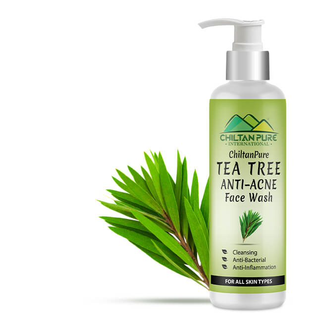 ChiltanPure Tea Tree Anti Acne Face Wash 150 ML
