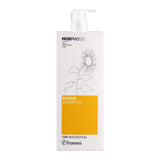 Framesi Morphosis Repair Shampoo