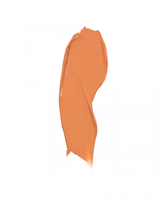 Masarrat Misbah Silk Foundation