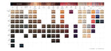 Schwarzkopf Igora Royal Hair Colors